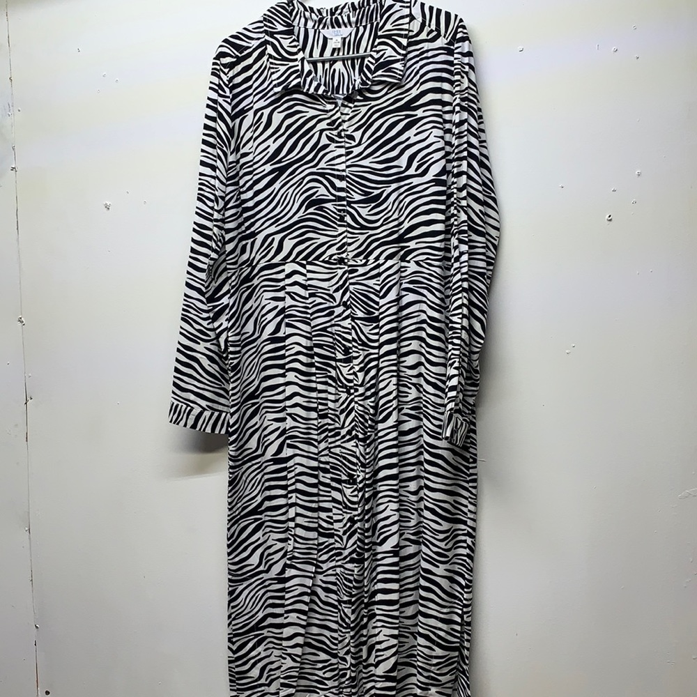 Time try plus size dress